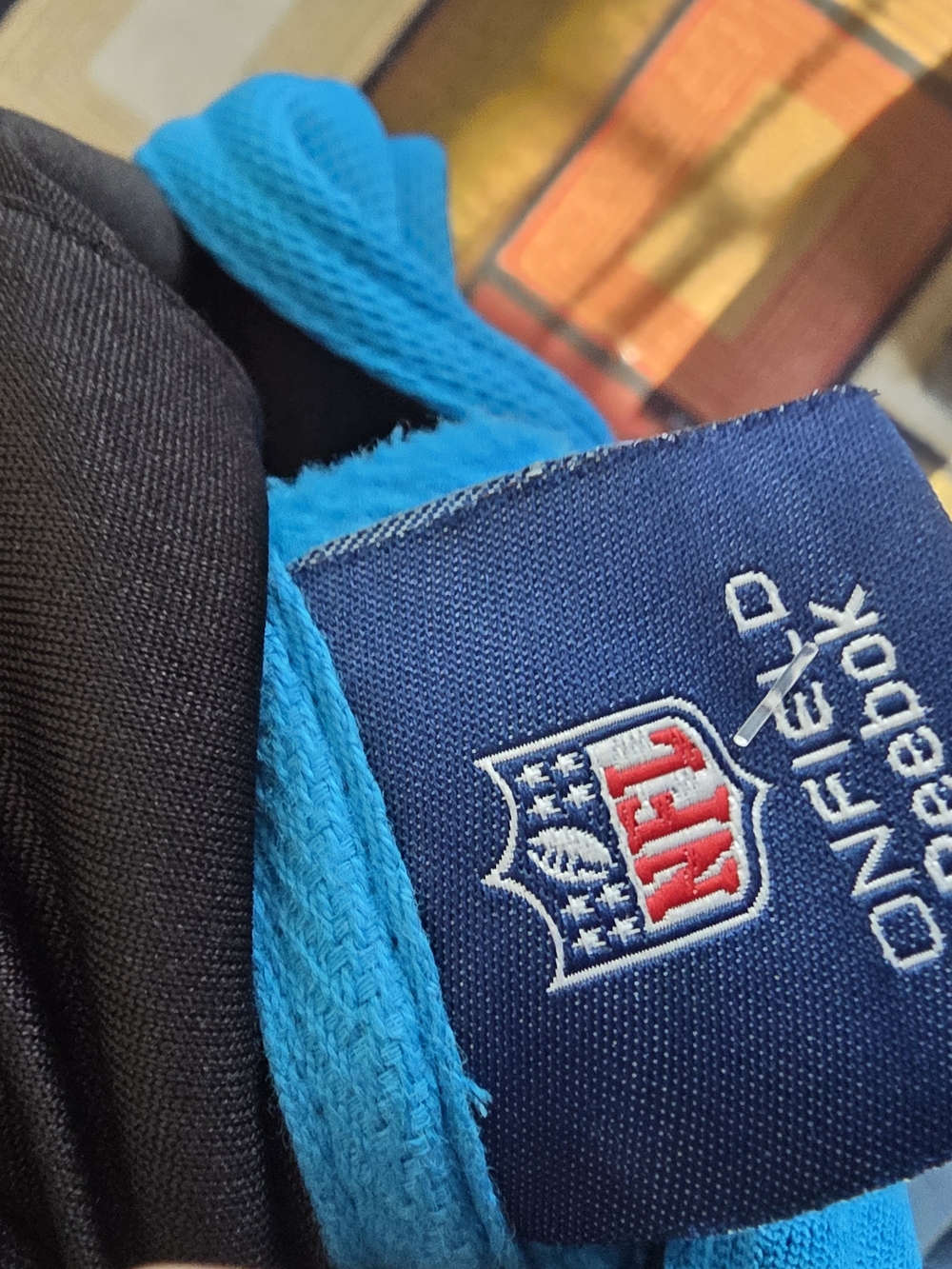 Reebok Panthers Hoodie in Bright Teal - Picture 4 of 7